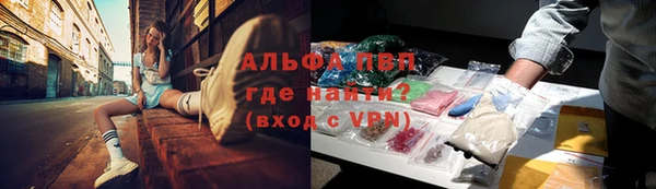 2c-b Бородино