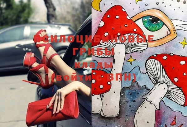 МДПВ Бронницы
