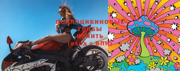 МДПВ Бронницы