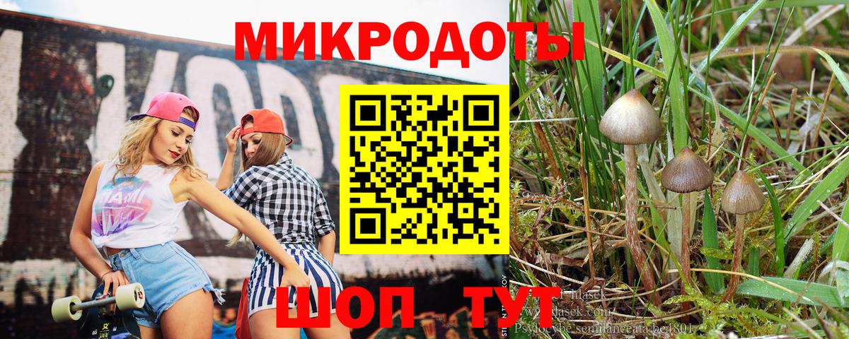 где купить наркоту  Псилоцибиновые грибы Magic Shrooms  Волоколамск  Вход с VPN  Псилоцибиновые грибы Psilocybine cubensis 
