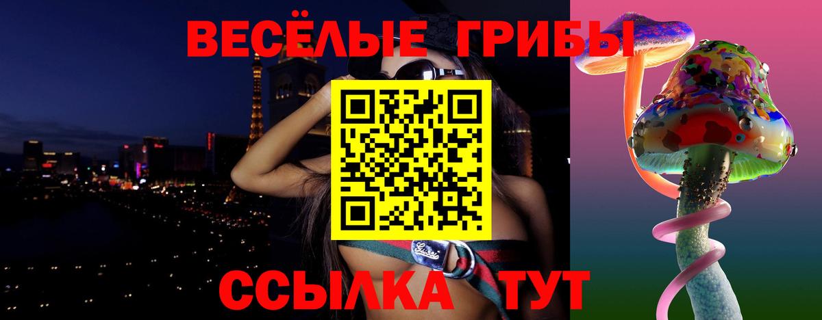 Псилоцибиновые грибы GOLDEN TEACHER Волоколамск